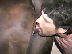 men love his horse