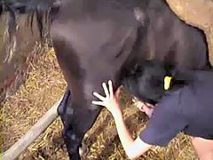 Girl gets an horse cock in her ass